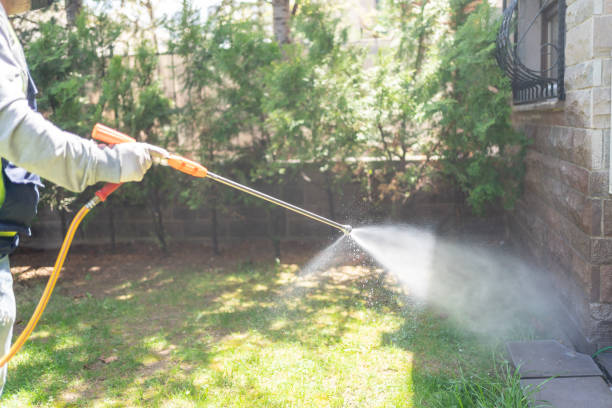 Emergency Pest Control Services in Fort Pierce North, FL